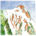 Support Youth Programming in Washington! Let's reopen the Mazama Outward Bound Basecamp!