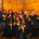 Phi Beta Delta of the UIU Greek Alumni Network