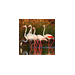 CSO Flamingos