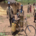 EWB-CPC Napenkara Well Project