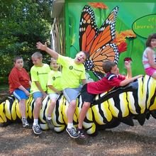 AUTISM FAMILY NETWORK OF LINCOLN NEBRASKA