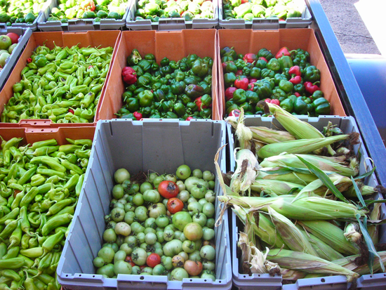 River Cities Harvest Inc | Mightycause