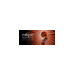 ECLIPSE CHAMBER ORCHESTRA INC