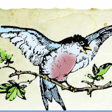 SONGBIRD SINGS INC