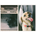 BEAGLE RESCUE INC
