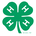 FLORIDA 4-H CLUB FOUNDATION INC