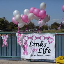 LINKS FOR LIFE INC