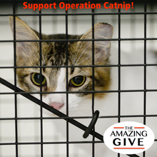 Operation Catnip of Gainesville Inc
