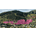 THINC Park City