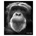 WILDLIFE WAYSTATION INC