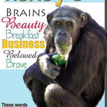 WILDLIFE WAYSTATION INC