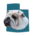 BULLDOG CLUB OF UTAH
